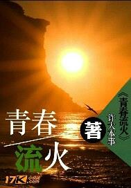 青春流火封面